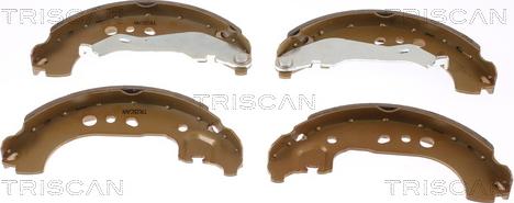 Triscan 8100 29531 - Комплект тормозных колодок, барабанные autosila-amz.com