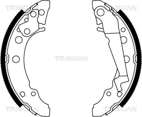 Triscan 8100 29001 - колодки бараб. торм. Audi autosila-amz.com