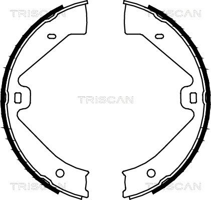 Triscan 8100 29002 - Комплект тормозов, ручник, парковка autosila-amz.com