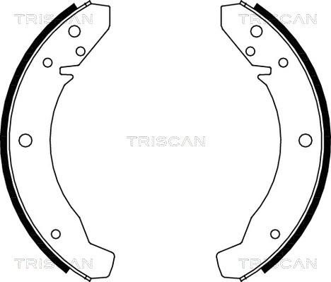 Triscan 8100 29104 - Комплект тормозных колодок, барабанные autosila-amz.com