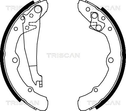 Triscan 8100 29343 - Комплект тормозных колодок, барабанные autosila-amz.com