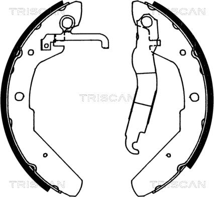 Triscan 8100 29370 - Комплект тормозных колодок, барабанные autosila-amz.com