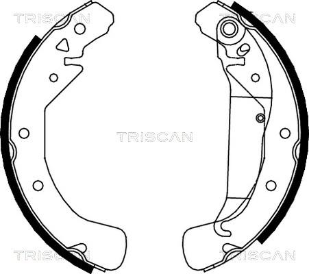 Triscan 8100 24589 - Комплект тормозных колодок, барабанные autosila-amz.com