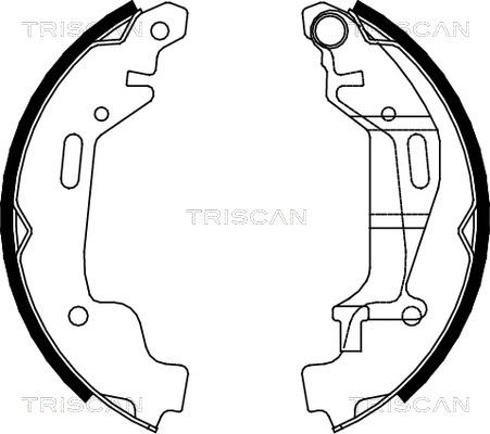 Triscan 8100 24001 - Комплект тормозных колодок, барабанные autosila-amz.com