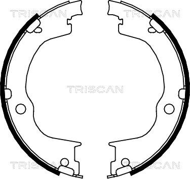 Triscan 8100 24003 - Комплект тормозов, ручник, парковка autosila-amz.com