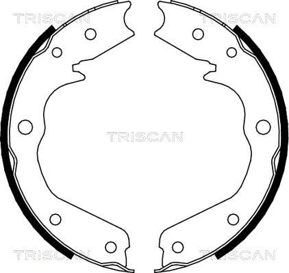 Triscan 8100 24002 - Комплект тормозов, ручник, парковка autosila-amz.com