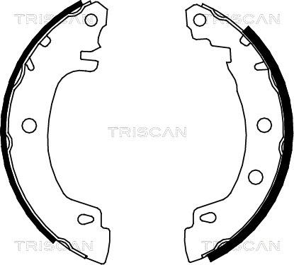 Triscan 8100 25581 - Комплект тормозных колодок, барабанные autosila-amz.com