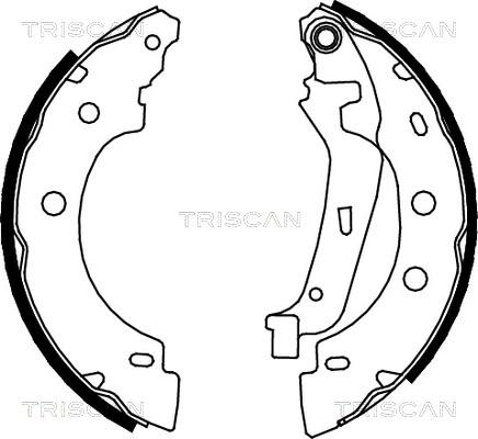 Triscan 8100 25635 - Комплект тормозных колодок, барабанные autosila-amz.com