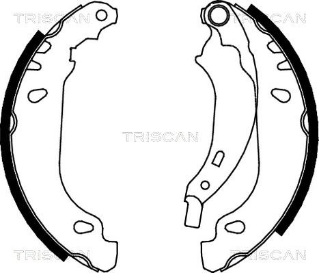 Triscan 8100 25637 - Комплект тормозных колодок, барабанные autosila-amz.com