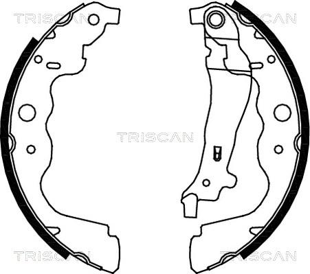 Triscan 8100 25004 - Комплект тормозных колодок, барабанные autosila-amz.com