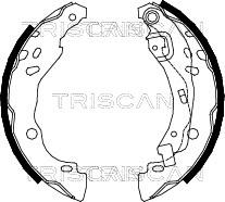 Triscan 8100 25001 - Комплект тормозных колодок, барабанные autosila-amz.com