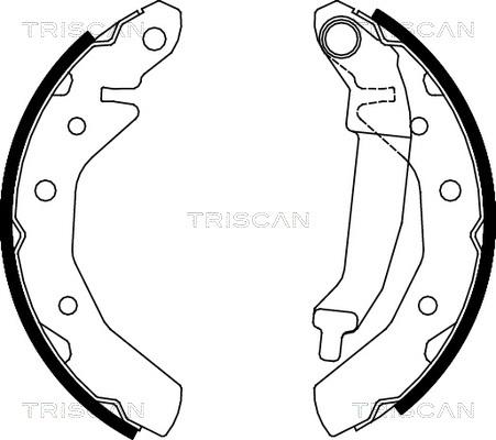 Triscan 8100 21610 - Комплект тормозных колодок, барабанные autosila-amz.com