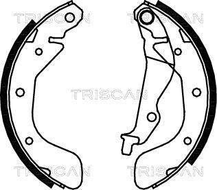 Triscan 8100 21611 - Комплект тормозных колодок, барабанные autosila-amz.com