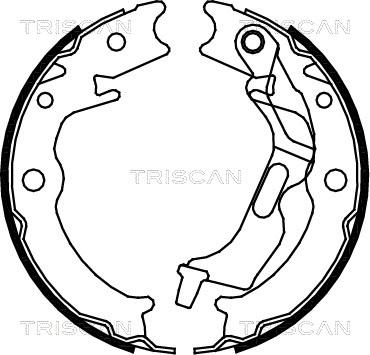 Triscan 8100 21001 - Комплект тормозных колодок, барабанные autosila-amz.com