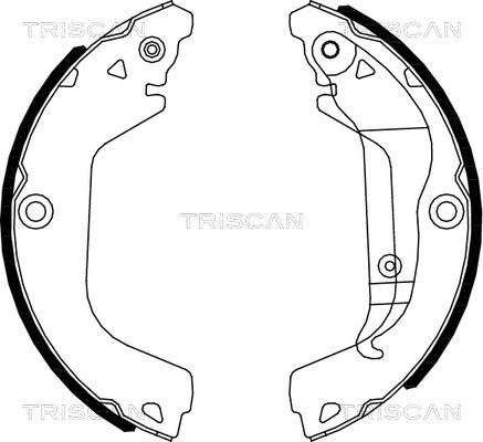 Triscan 8100 21002 - Комплект тормозных колодок, барабанные autosila-amz.com