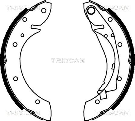 Triscan 8100 28598 - Комплект тормозных колодок, барабанные autosila-amz.com