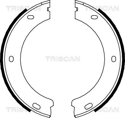 Triscan 8100 28522 - Комплект тормозов, ручник, парковка autosila-amz.com