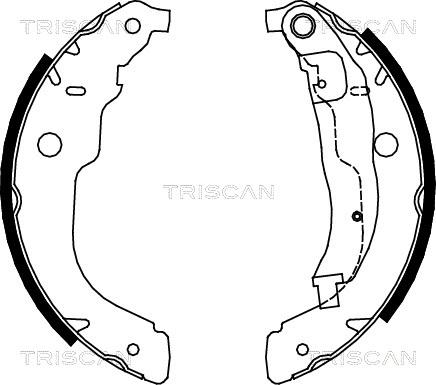 Triscan 8100 28053 - Комплект тормозных колодок, барабанные autosila-amz.com