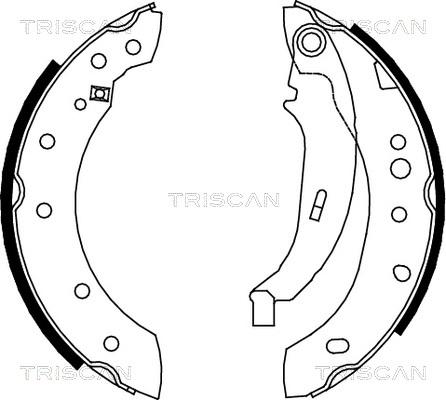 Triscan 8100 28052 - Комплект тормозных колодок, барабанные autosila-amz.com