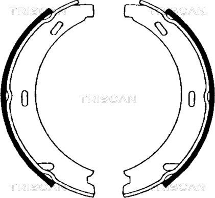 Triscan 8100 23552 - Комплект тормозов, ручник, парковка autosila-amz.com