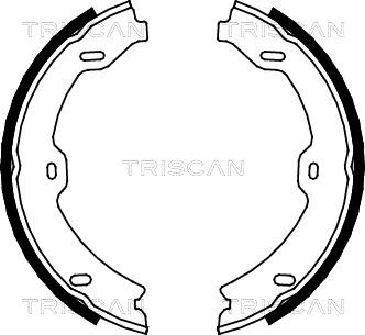 Triscan 8100 23031 - Комплект тормозов, ручник, парковка autosila-amz.com