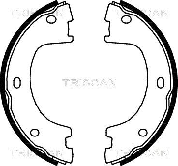 Triscan 8100 23032 - Комплект тормозных колодок, барабанные autosila-amz.com