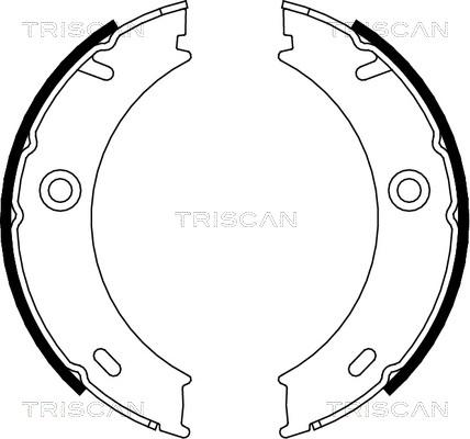 Triscan 8100 23025 - Комплект тормозов, ручник, парковка autosila-amz.com