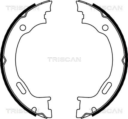 Triscan 8100 23028 - Комплект тормозов, ручник, парковка autosila-amz.com