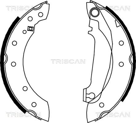 Triscan 8100 27516 - Комплект тормозных колодок, барабанные autosila-amz.com