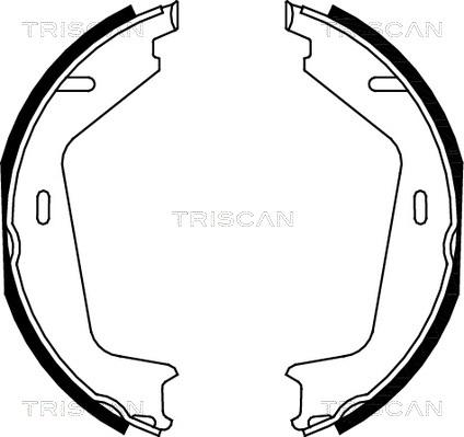 Triscan 8100 27579 - Комплект тормозов, ручник, парковка autosila-amz.com