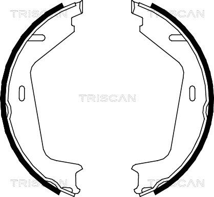 Triscan 8100 27578 - Комплект тормозов, ручник, парковка autosila-amz.com