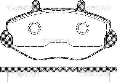 Triscan 8110 16970 - Тормозные колодки, дисковые, комплект autosila-amz.com