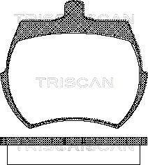 Triscan 8110 17019 - Тормозные колодки, дисковые, комплект autosila-amz.com