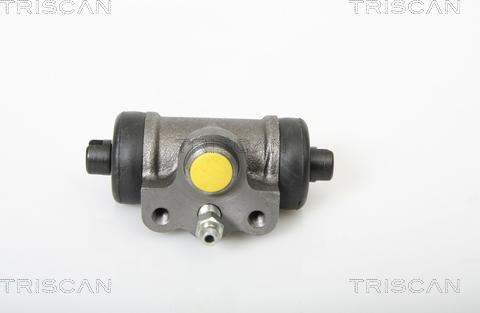 Triscan 8130 42019 - Колесный тормозной цилиндр autosila-amz.com