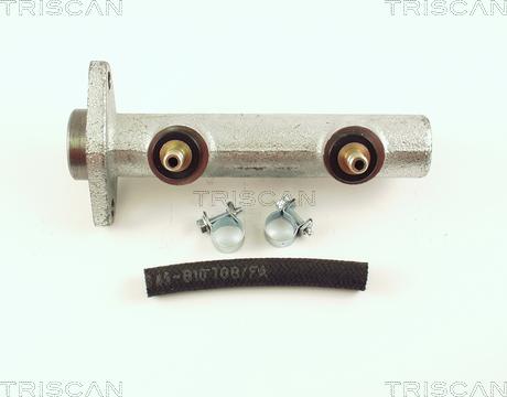 Triscan 8130 67100 - Главный тормозной цилиндр autosila-amz.com