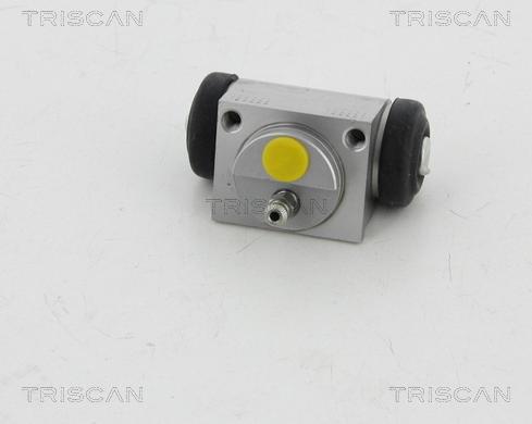 Triscan 8130 16069 - Колесный тормозной цилиндр autosila-amz.com