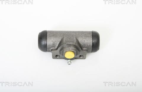 Triscan 8130 18002 - цилиндр тормозной раб. задн. Peug autosila-amz.com