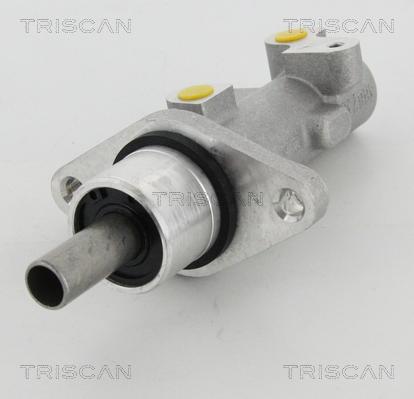 Triscan 8130 29163 - Главный тормозной цилиндр autosila-amz.com