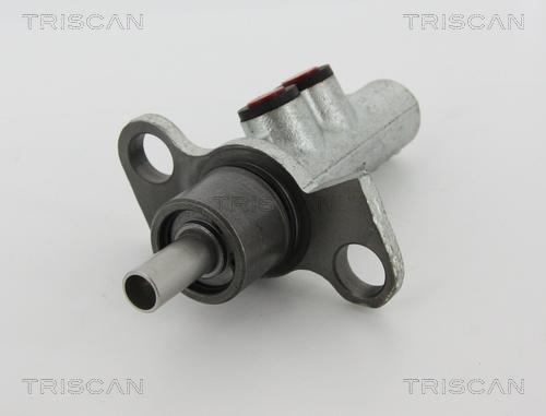 Triscan 8130 29173 - Главный тормозной цилиндр autosila-amz.com