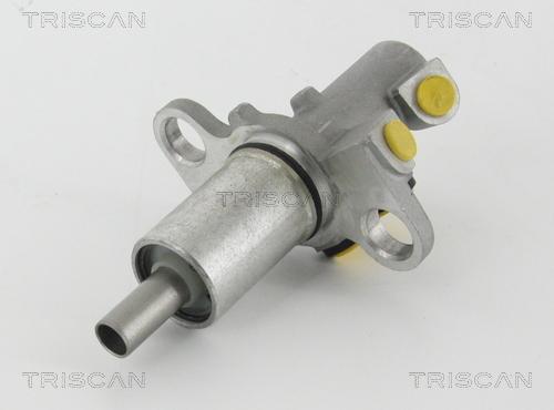 Triscan 8130 29172 - Главный тормозной цилиндр autosila-amz.com