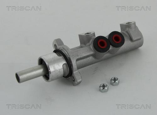 Triscan 8130 24163 - Главный тормозной цилиндр autosila-amz.com