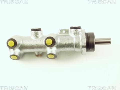 Triscan 8130 25119 - Главный тормозной цилиндр autosila-amz.com