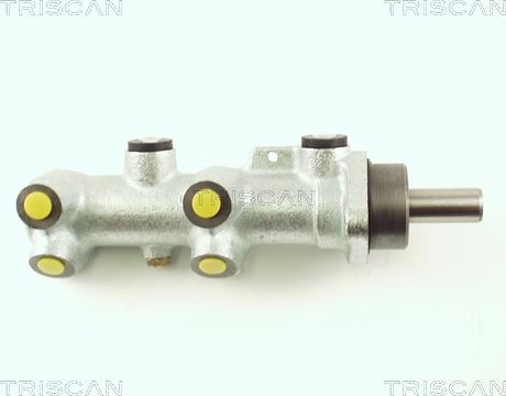 Triscan 8130 25117 - Главный тормозной цилиндр autosila-amz.com