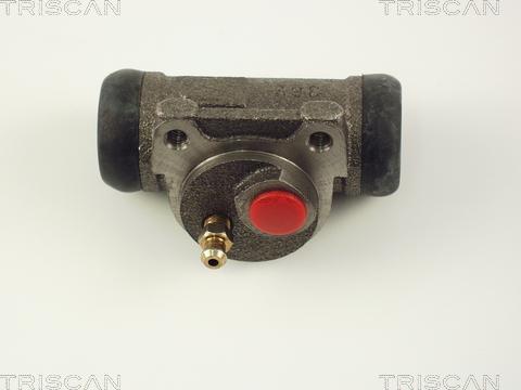 Triscan 8130 28021 - Колесный тормозной цилиндр autosila-amz.com