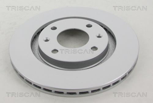 Triscan 8120 10113C - Тормозной диск autosila-amz.com