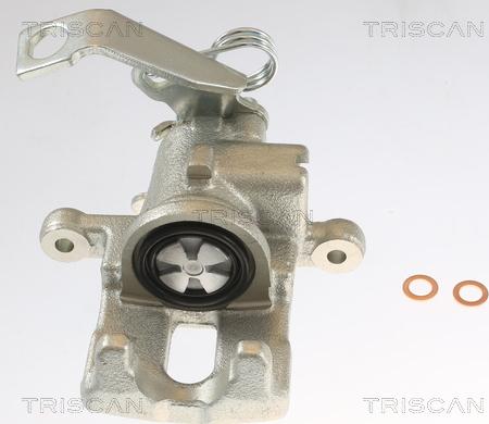 Triscan 8175 40209 - Тормозной суппорт autosila-amz.com