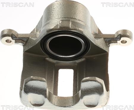Triscan 8175 43119 - Тормозной суппорт autosila-amz.com