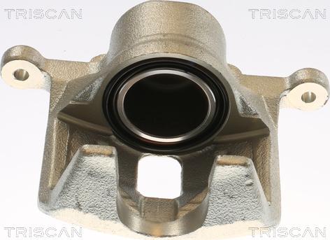 Triscan 8175 69109 - Тормозной суппорт autosila-amz.com