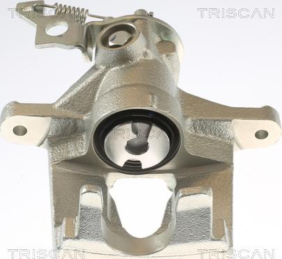 Triscan 8175 16102 - Тормозной суппорт autosila-amz.com
