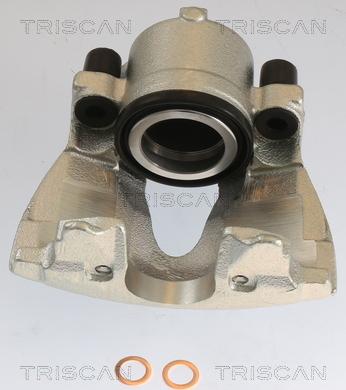 Triscan 8175 10103 - Тормозной суппорт autosila-amz.com